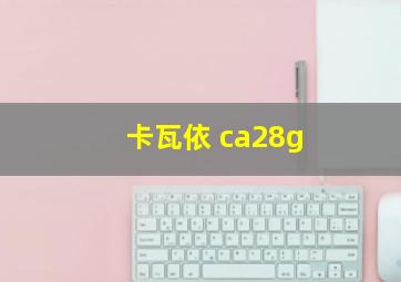 卡瓦依 ca28g